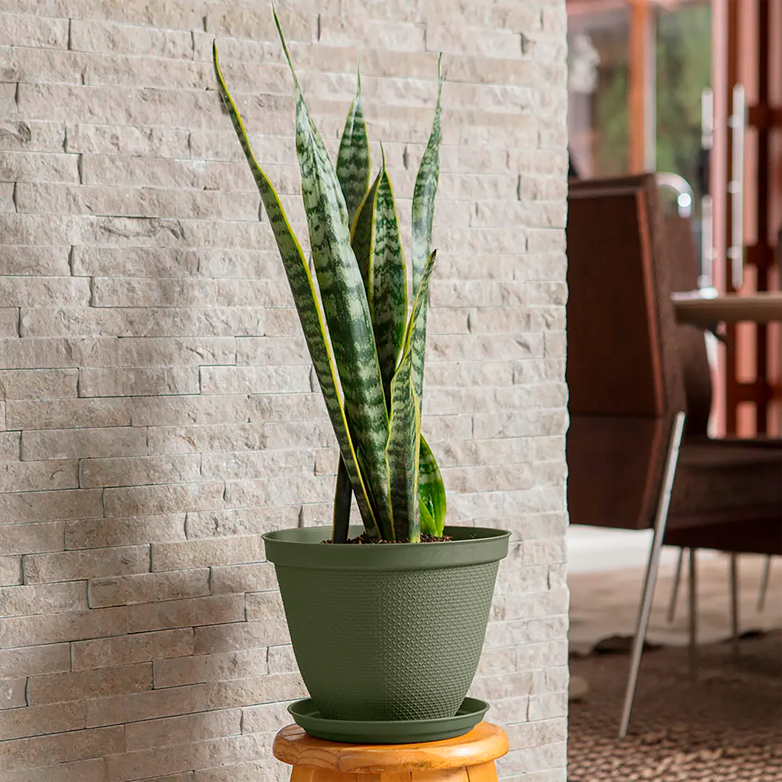 Matera Redonda Rafia 25 Cm con Plato Verde Musgo RIMAX