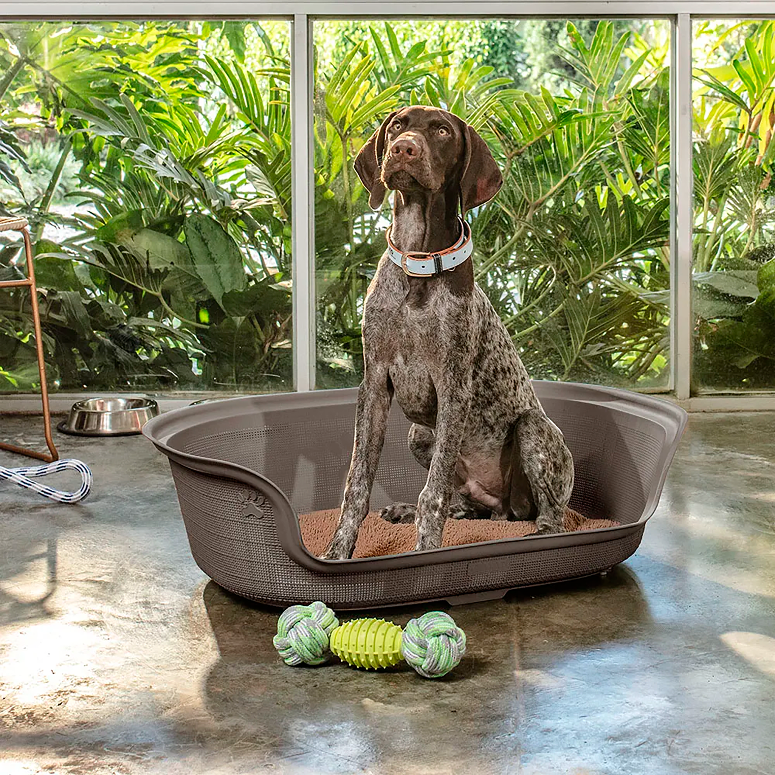 Cama RIMAX Para Perro Mocca