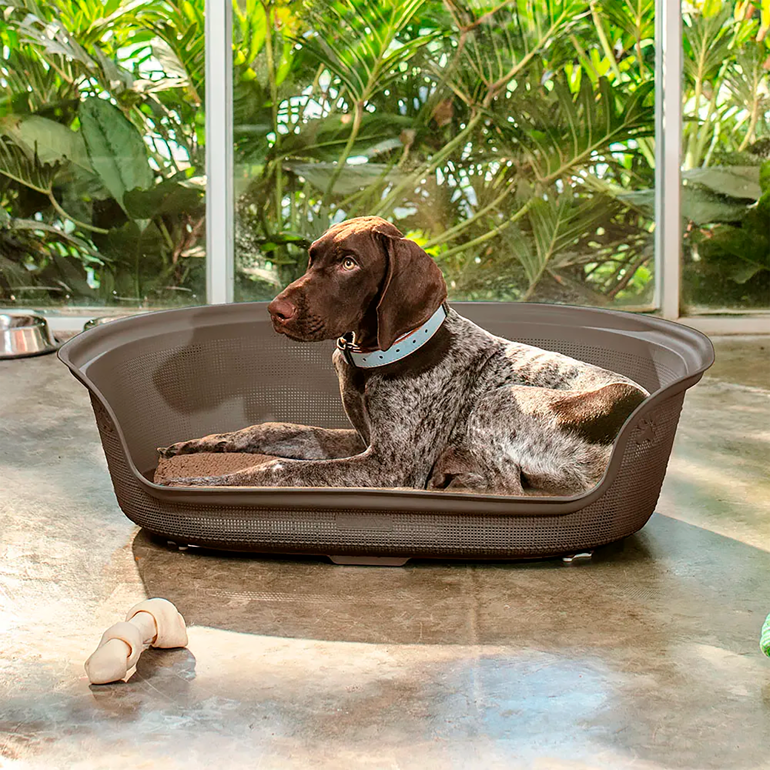 Cama RIMAX Para Perro Mocca