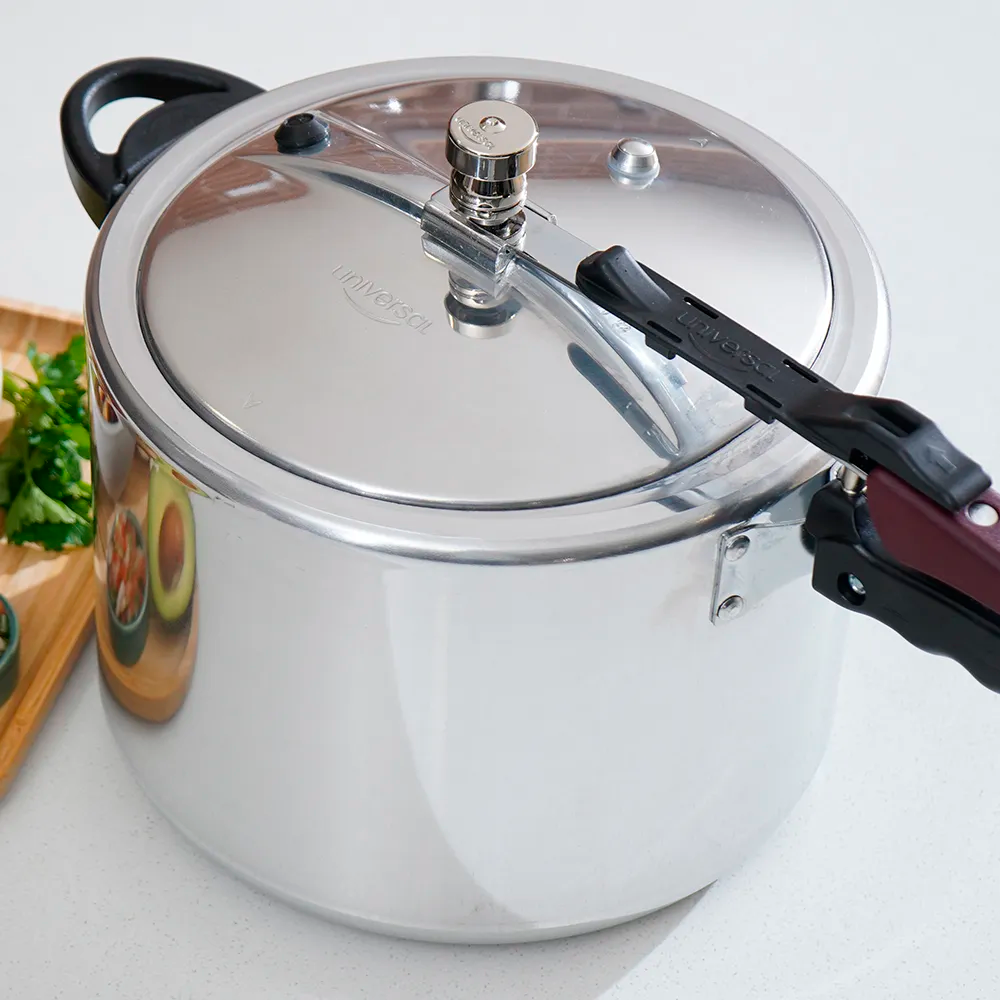 OLLA A PRESION 10L UNIVERSAL
