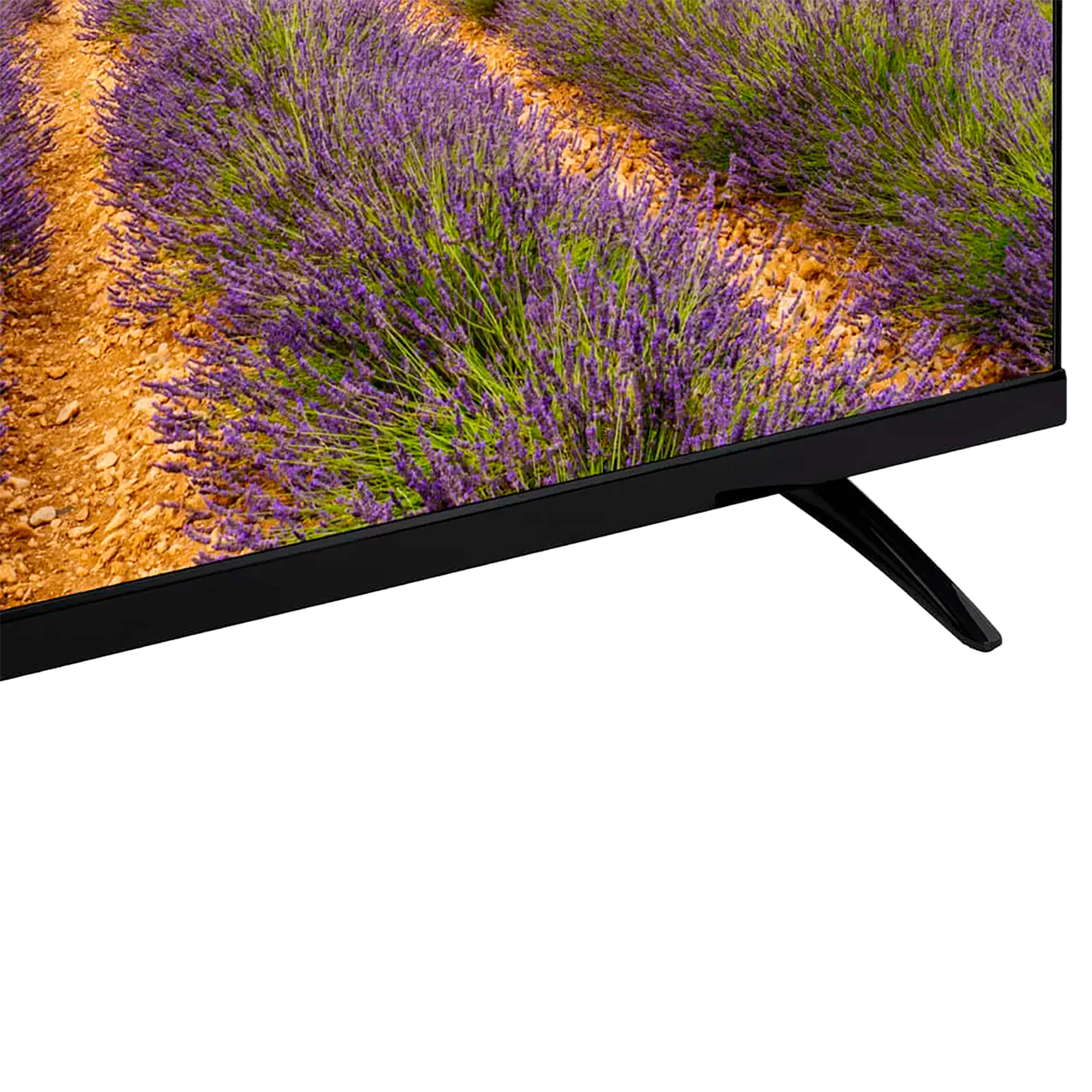 TV 32" LED DIGITAL 110V/12V D61 VISIVO