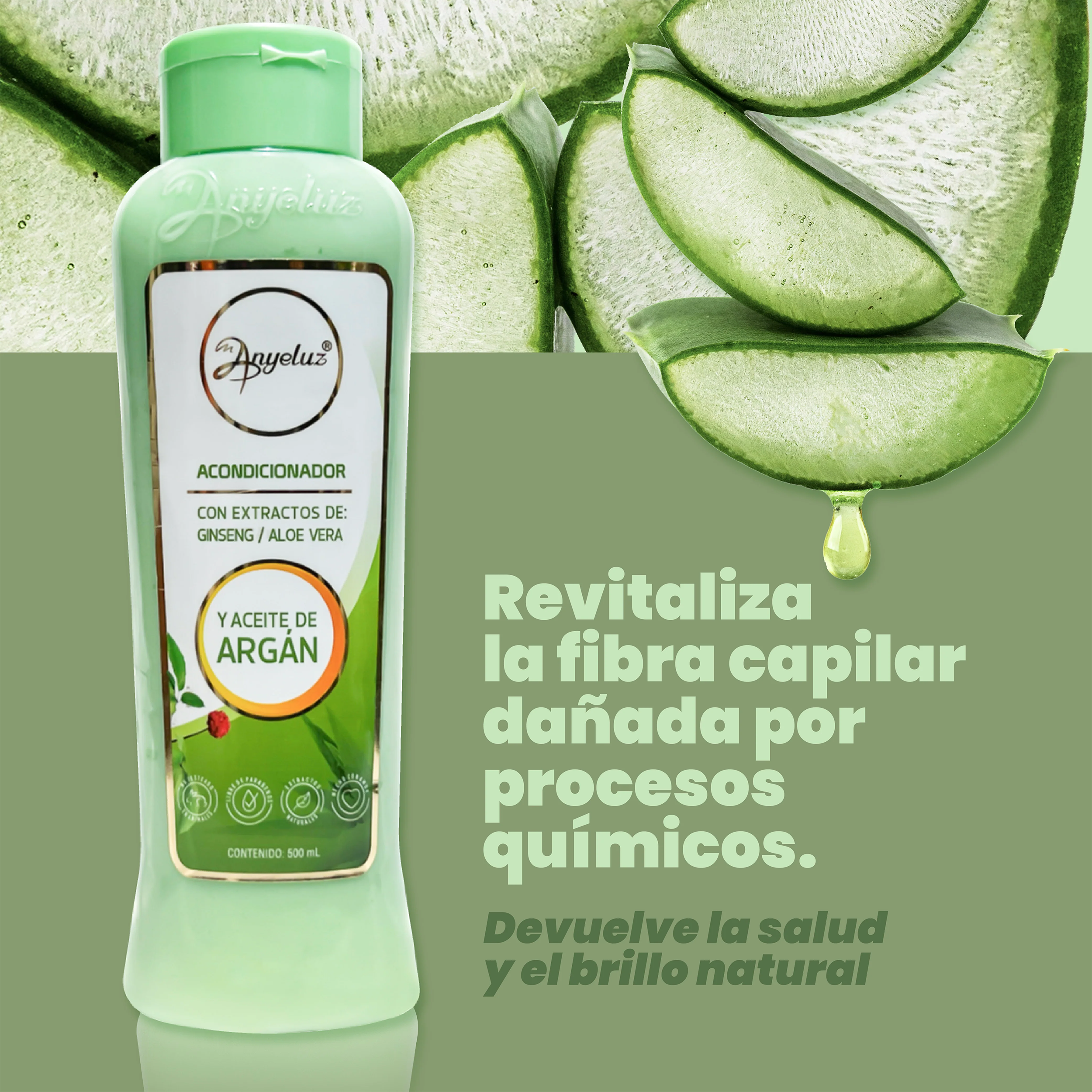 ACOND DE ARGAN Y ALOE VERA 500ML ANYELUZ