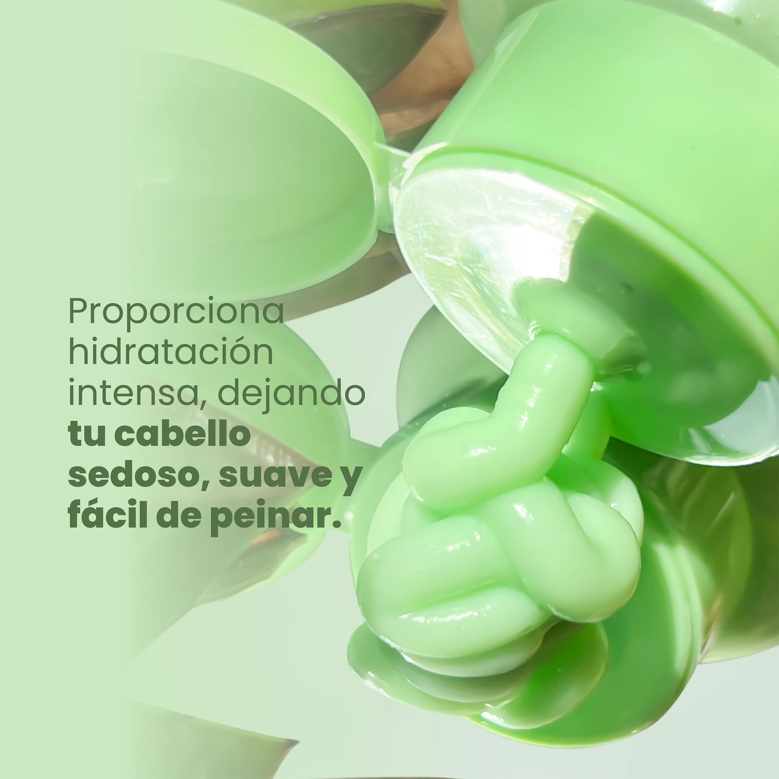ACOND DE ARGAN Y ALOE VERA 500ML ANYELUZ