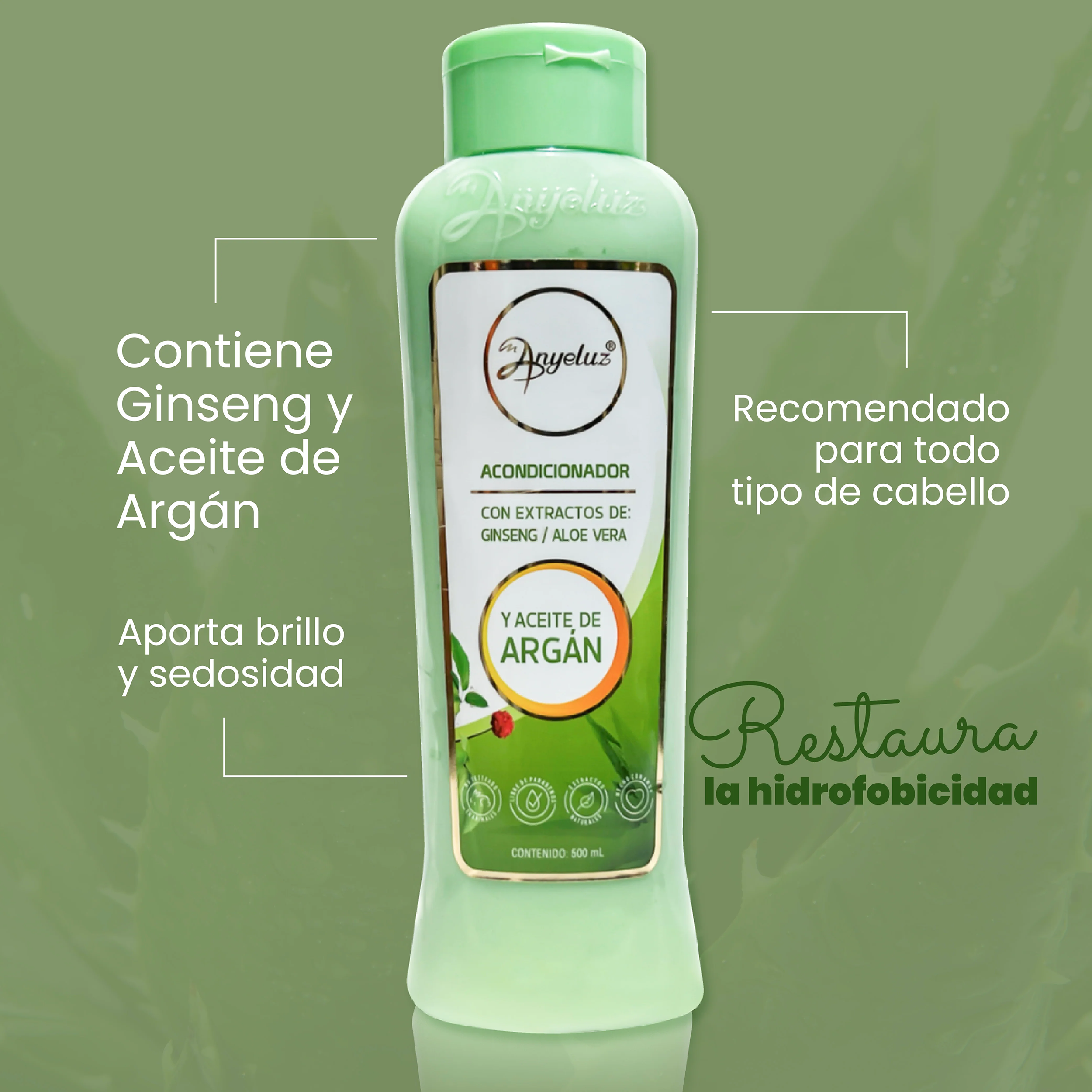 ACOND DE ARGAN Y ALOE VERA 500ML ANYELUZ