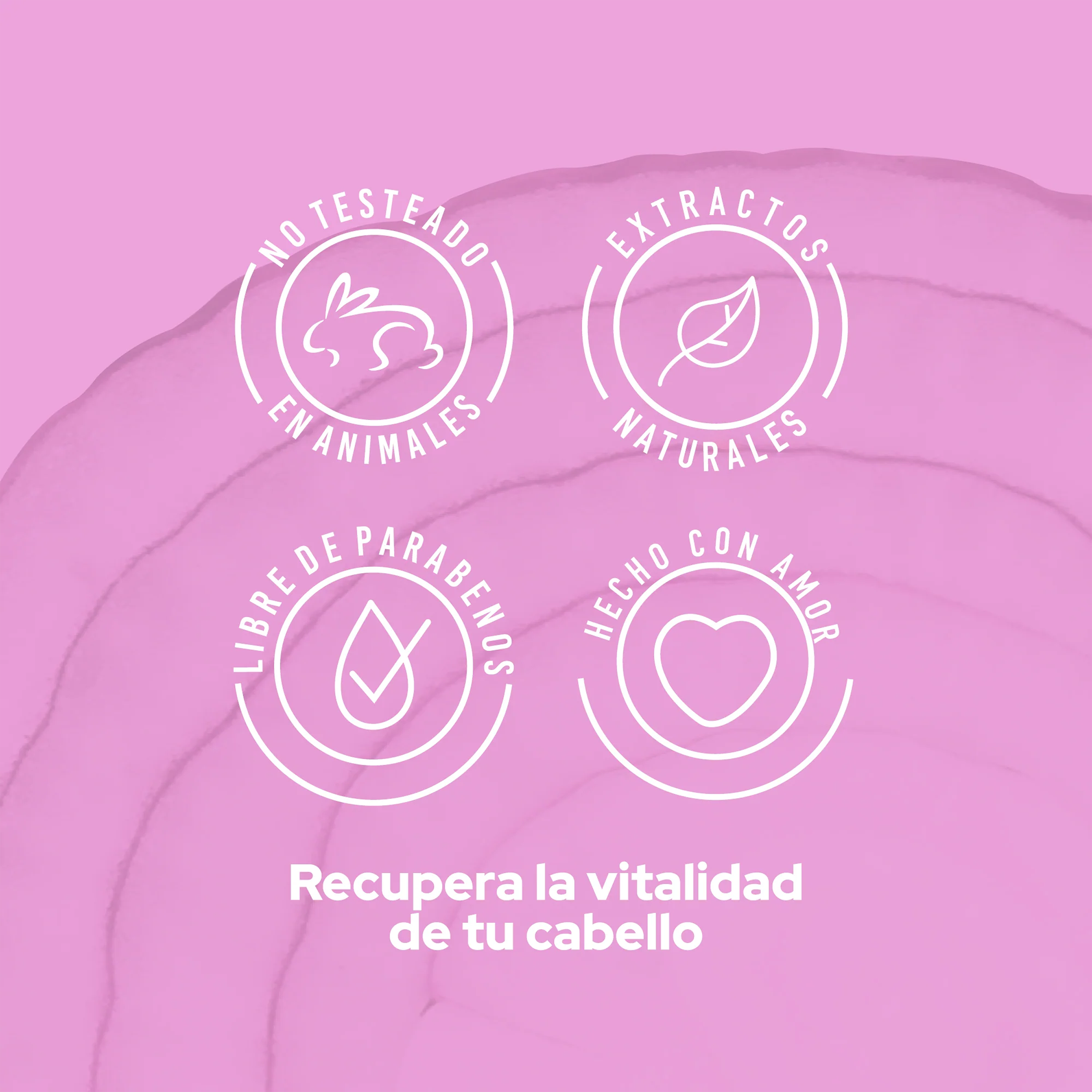 ACONDICONADOR CON CEBOLLA 500ML ANYELUZ