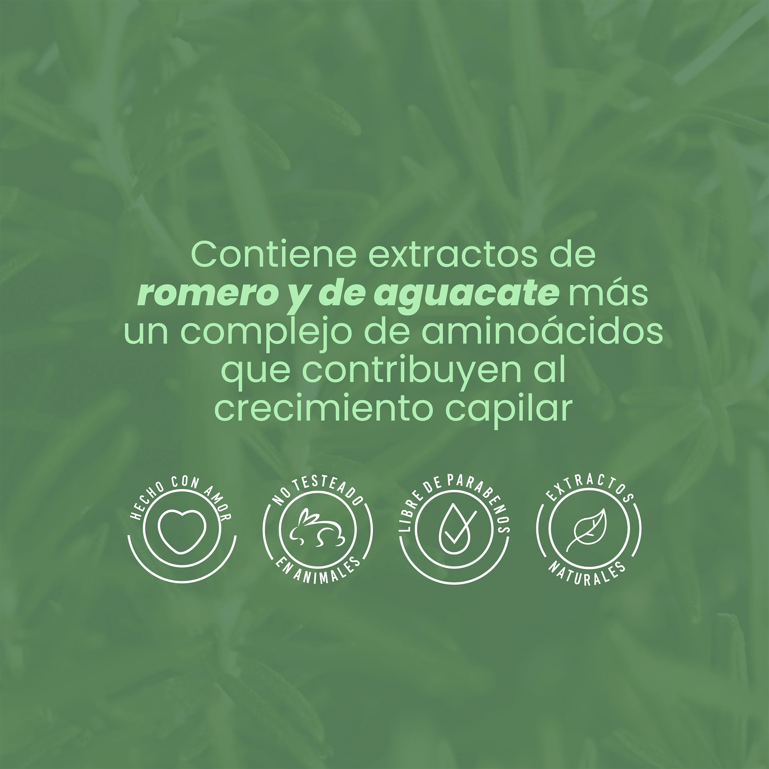 BIOTERAPIA CAPILAR CON ROMERO 300ML