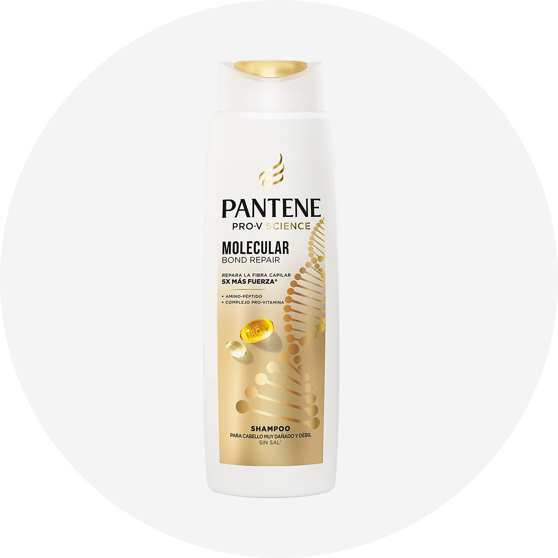 Shampoo
