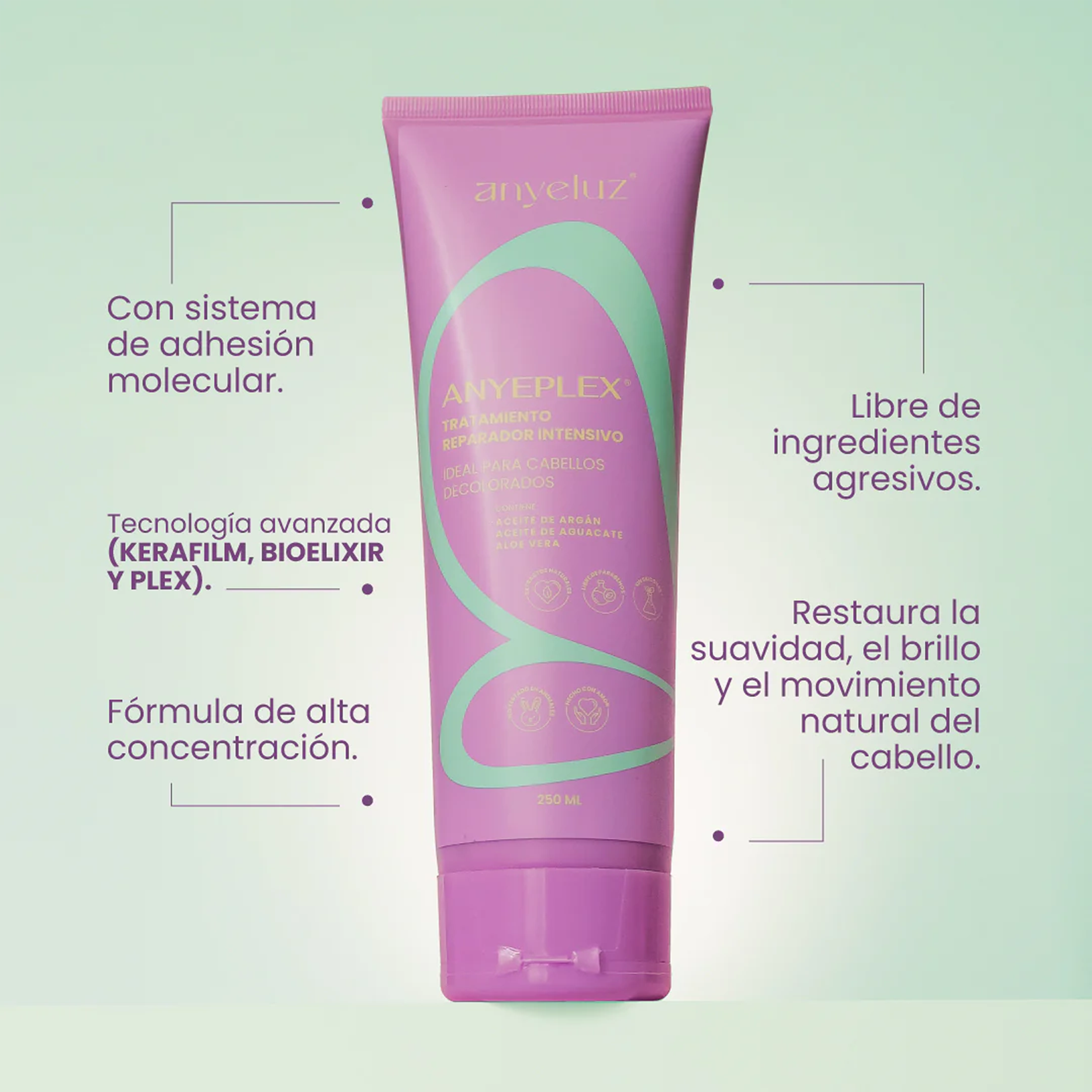 TRATAMIENTO ANYEPLEX REPARADOR ANYELUZ