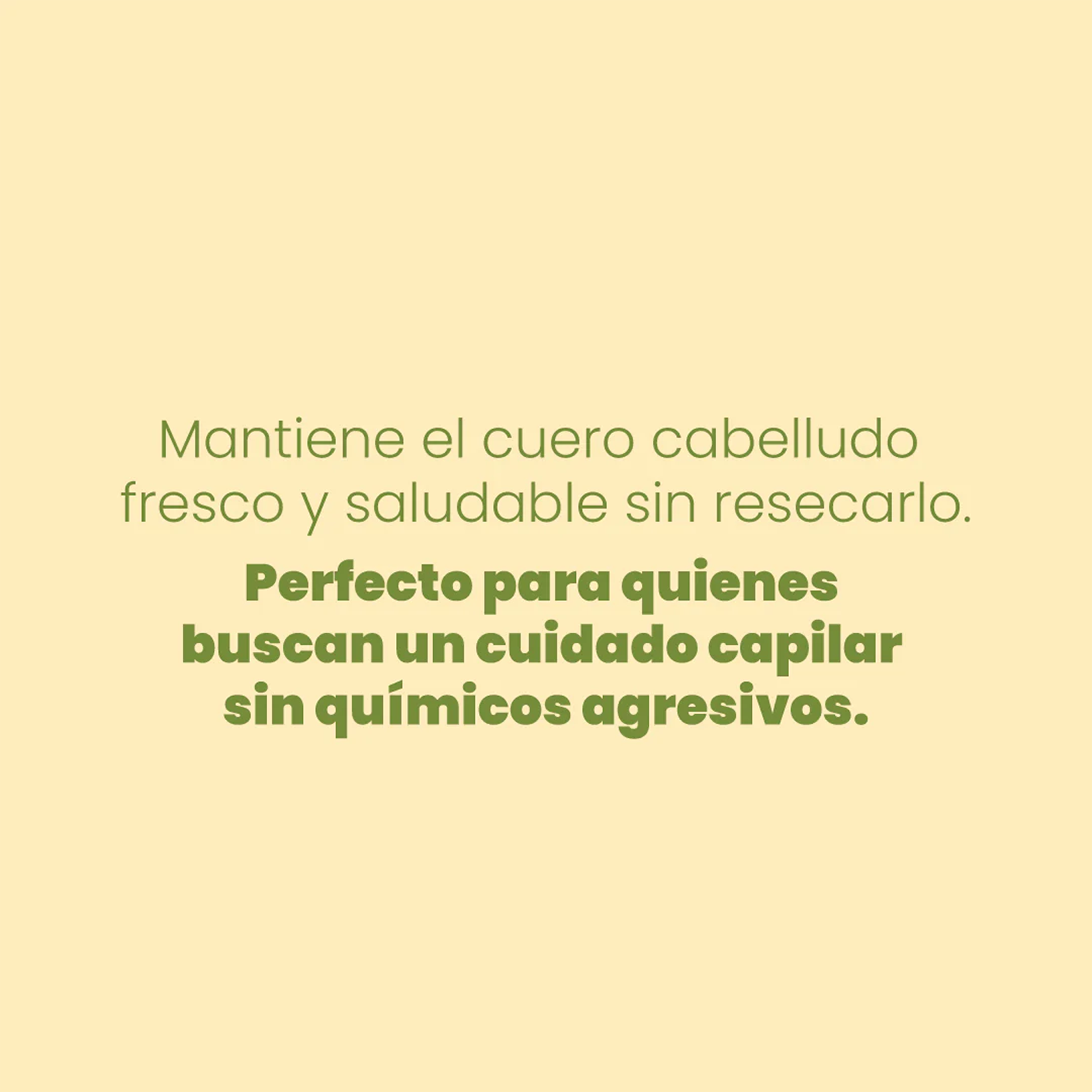SHAMPOO CON MANZANILLA 500ML ANYELUZ