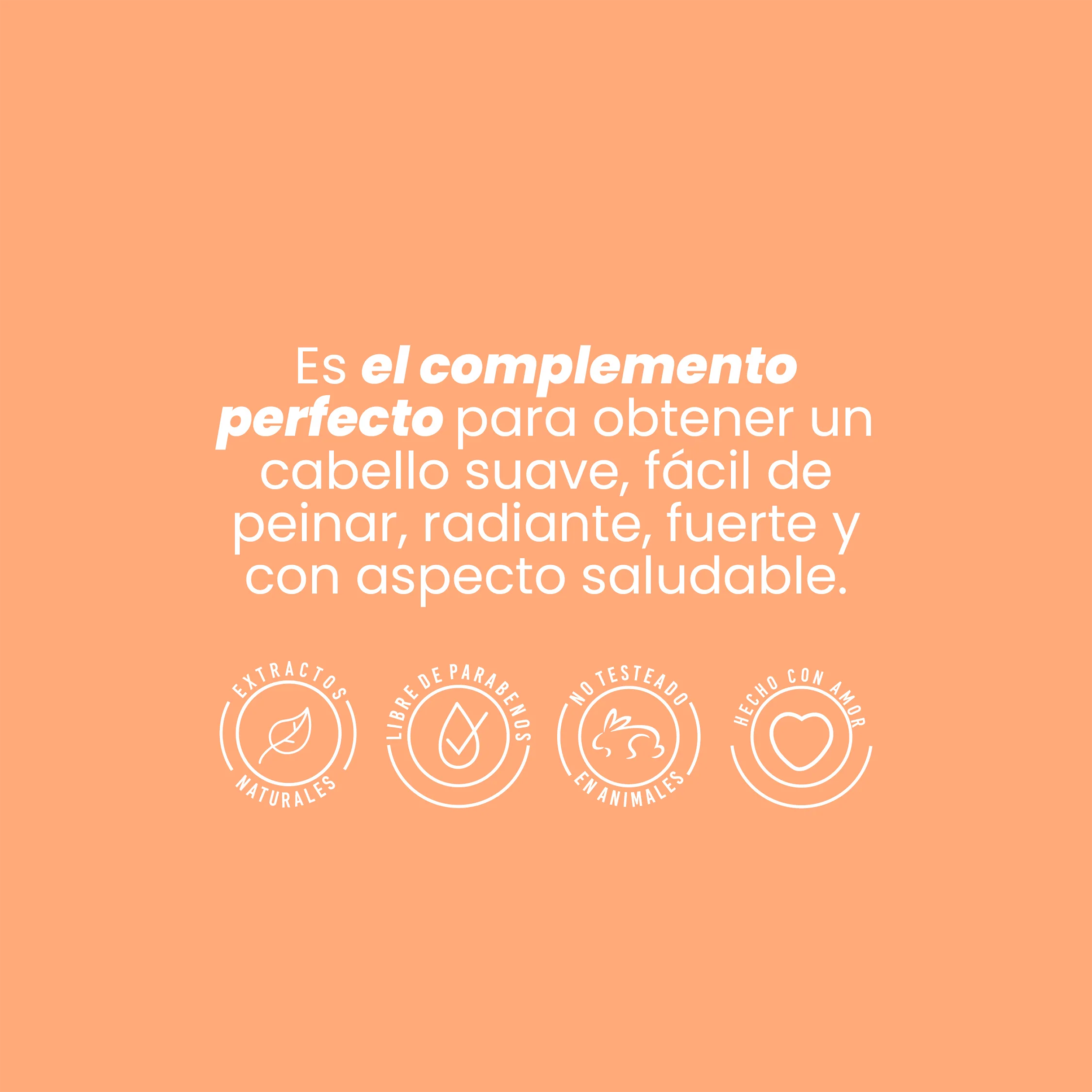 ACONDICIONADOR CON GINSENG