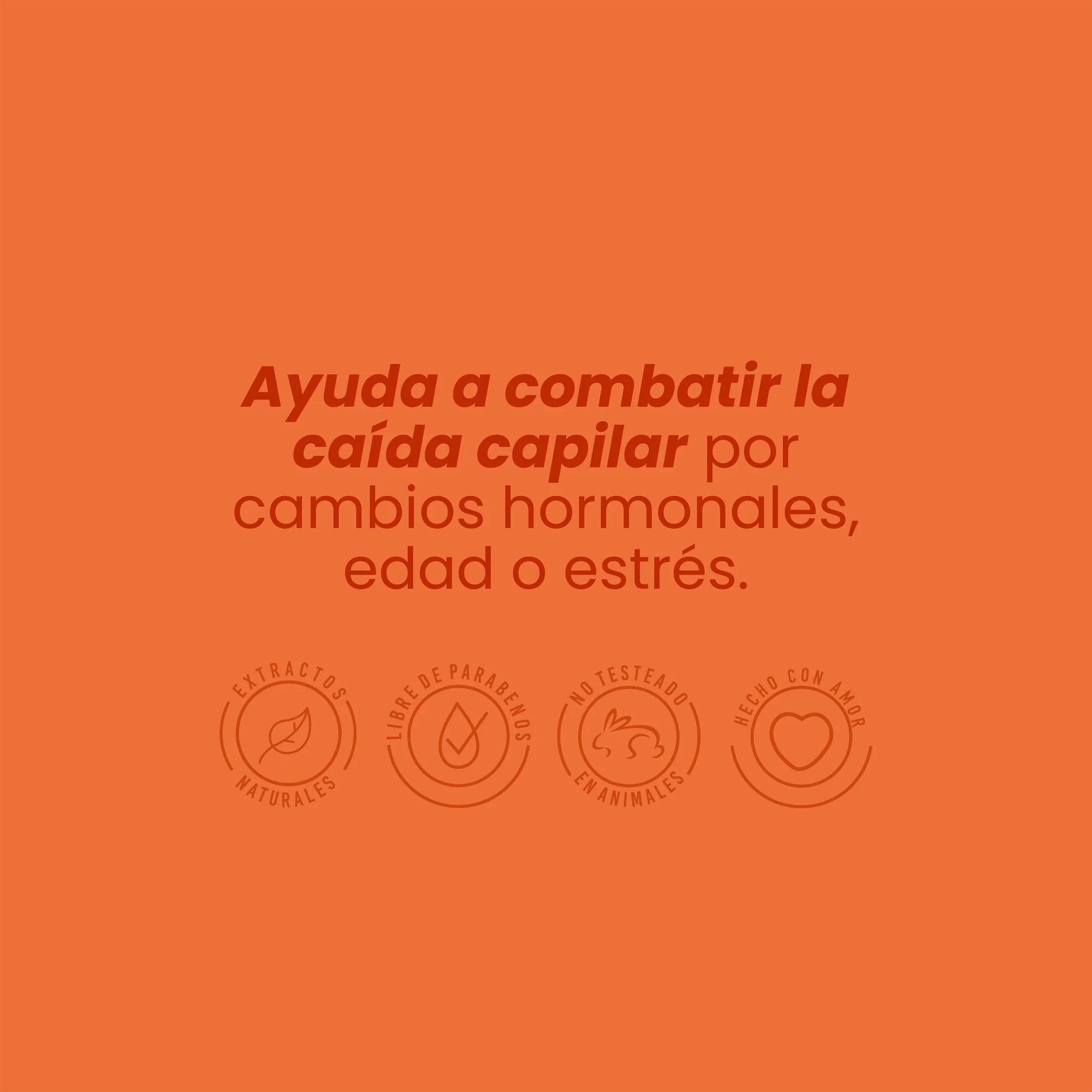 SHAMPOO CON GINSENG ANYELUZ