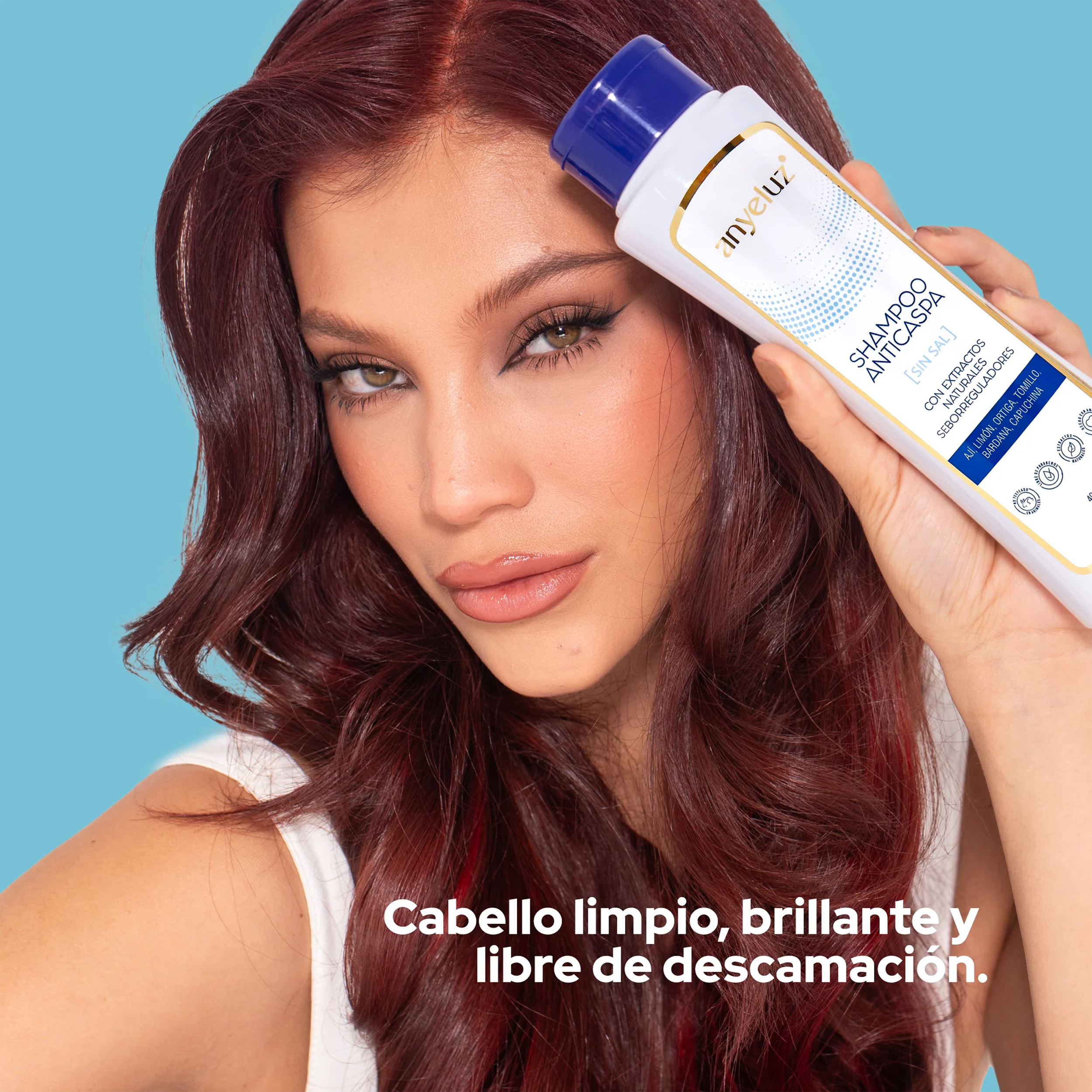 SHAMPOO ANTICASPA 400ML ANYELUZ