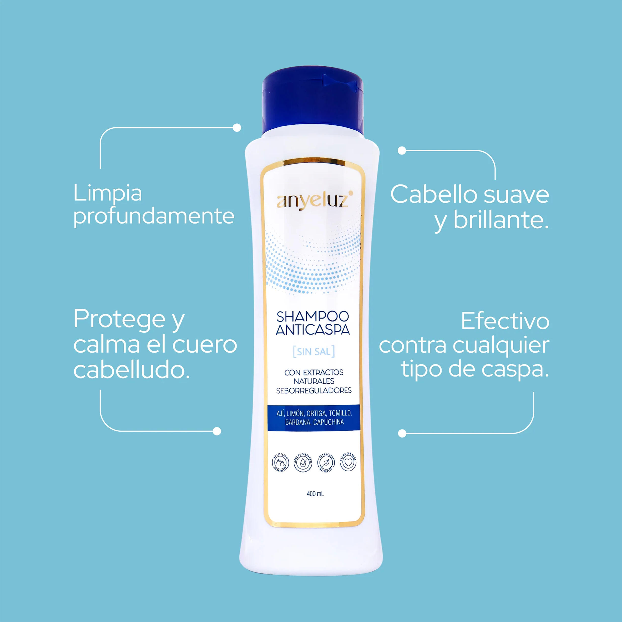 SHAMPOO ANTICASPA 400ML ANYELUZ