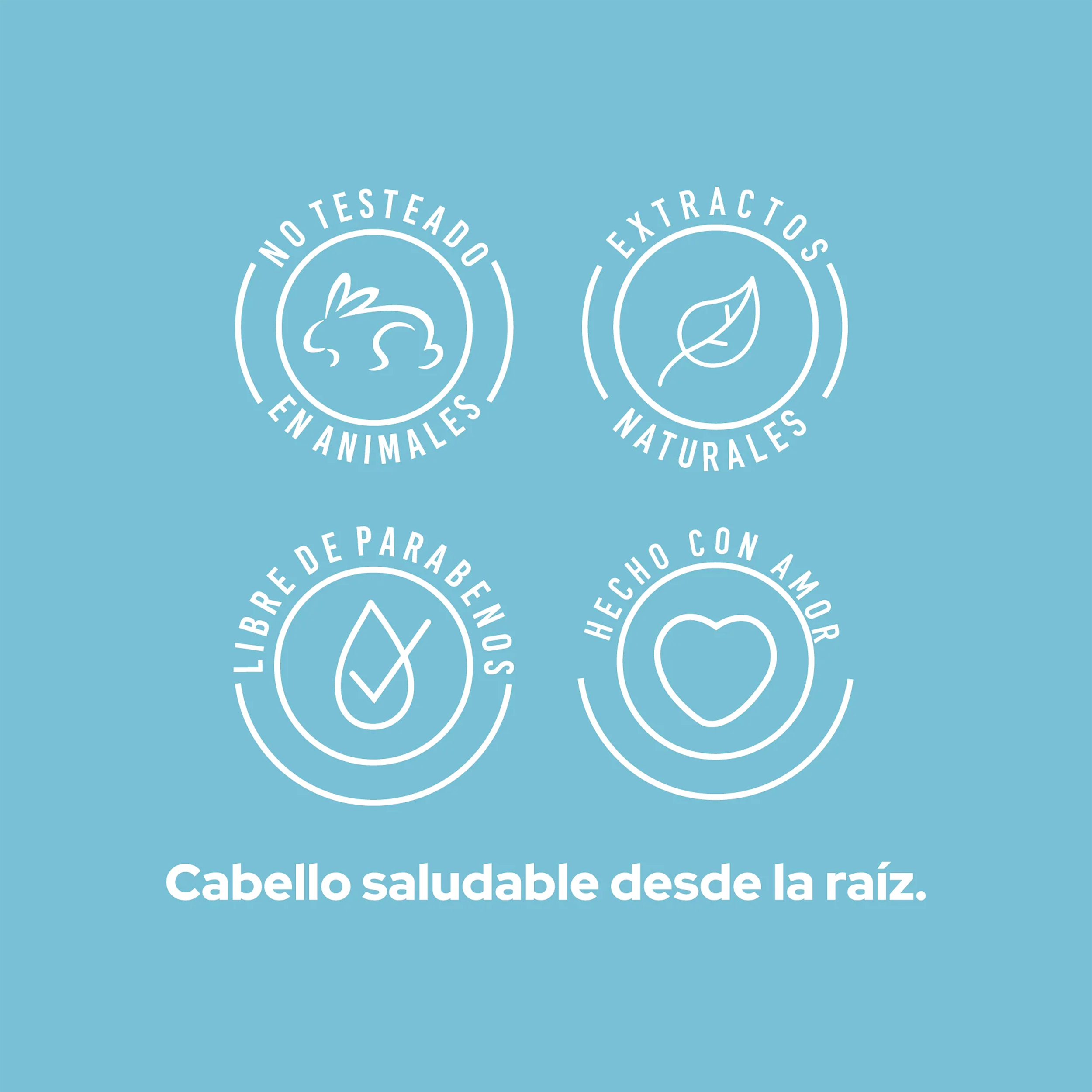 SHAMPOO ANTICASPA 400ML ANYELUZ