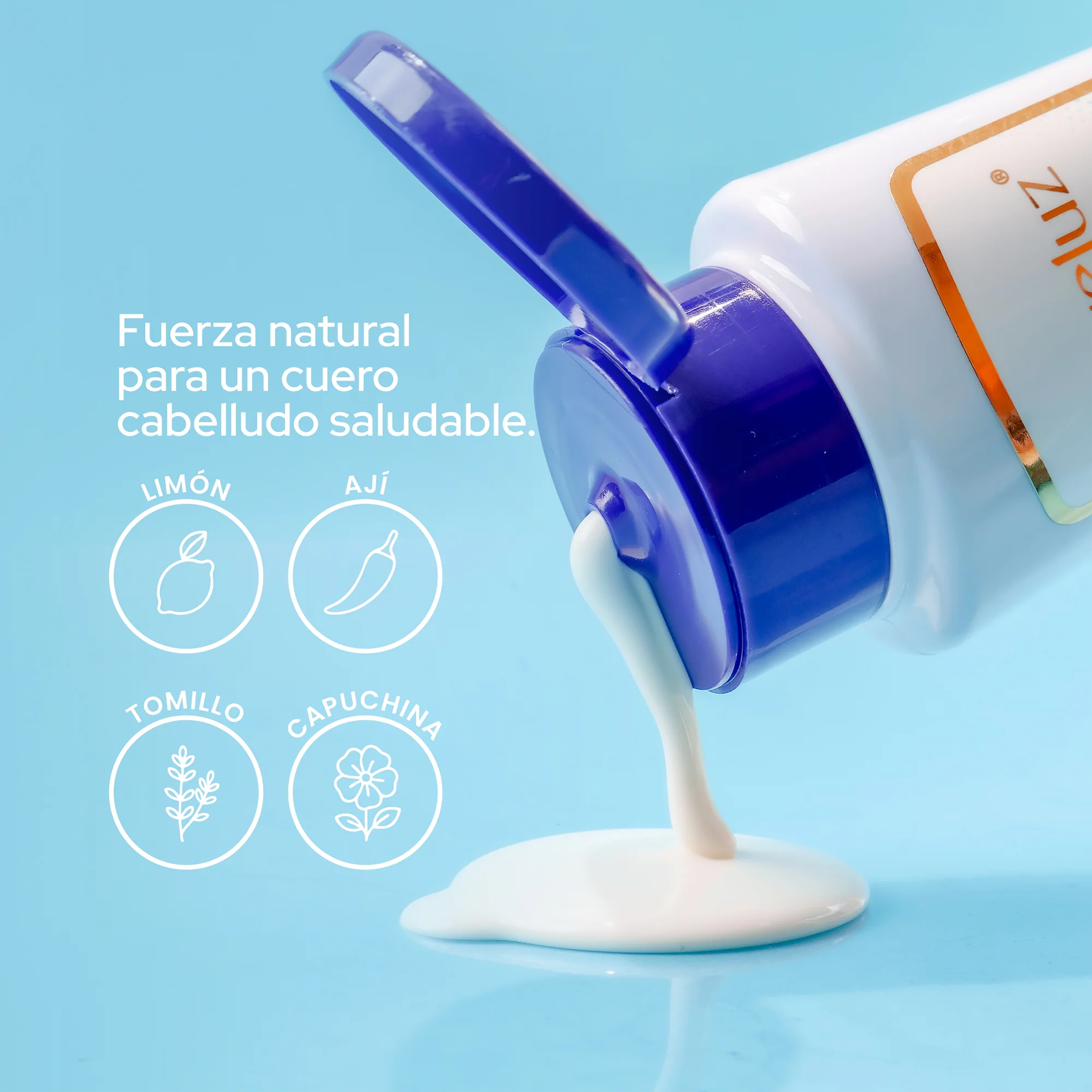 SHAMPOO ANTICASPA 400ML ANYELUZ