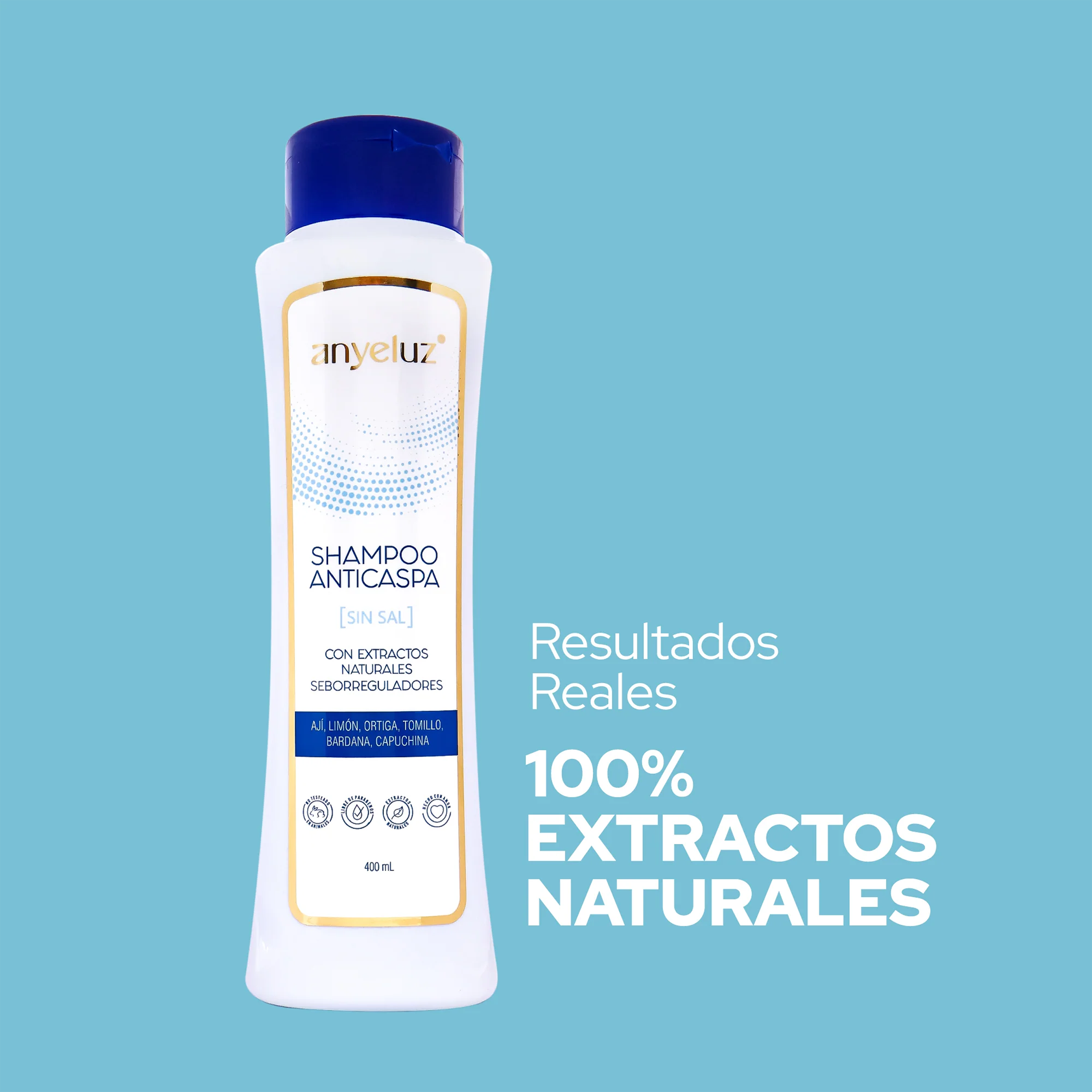 SHAMPOO ANTICASPA 400ML ANYELUZ