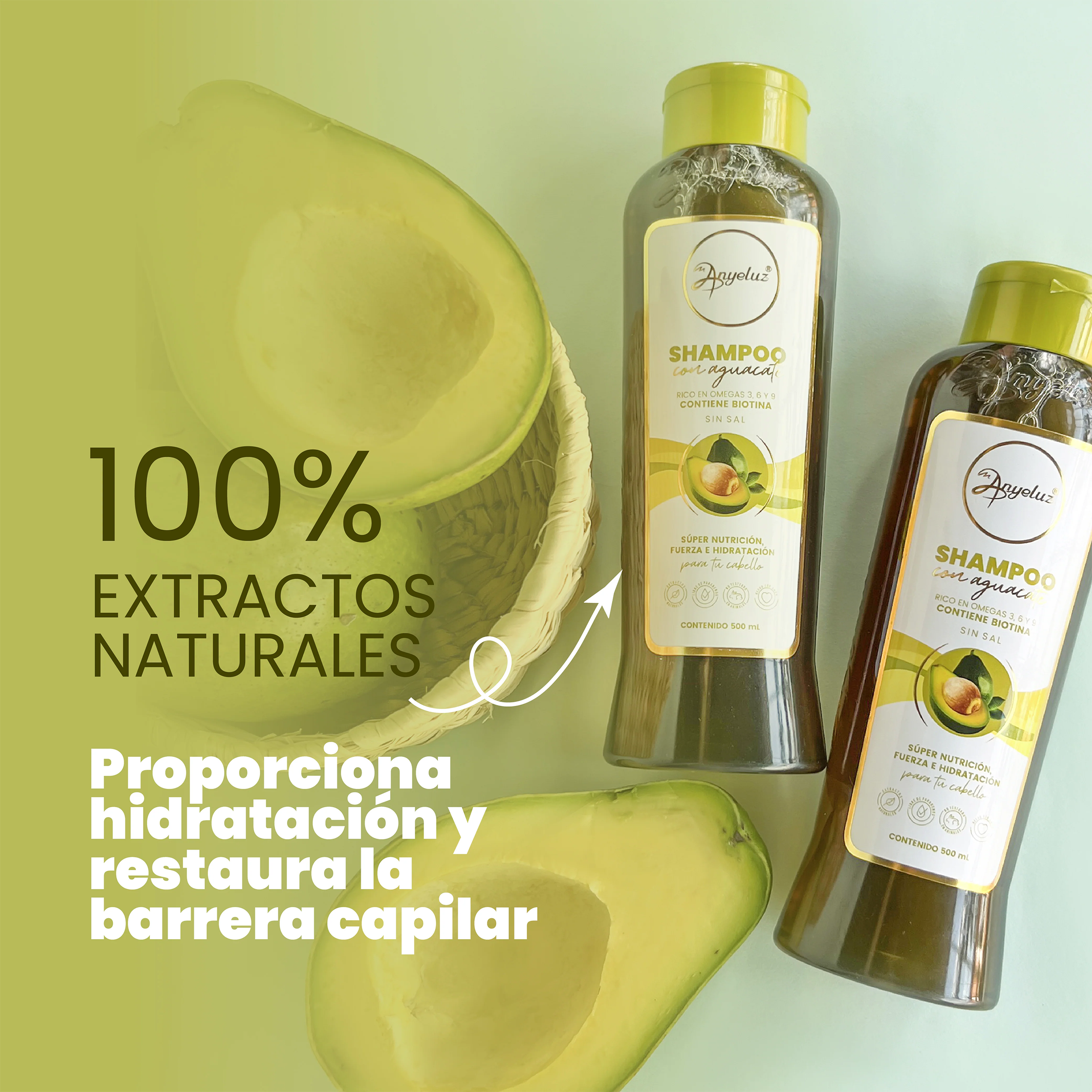 SHAMPOO CON AGUACATE 500ML ANYELUZ