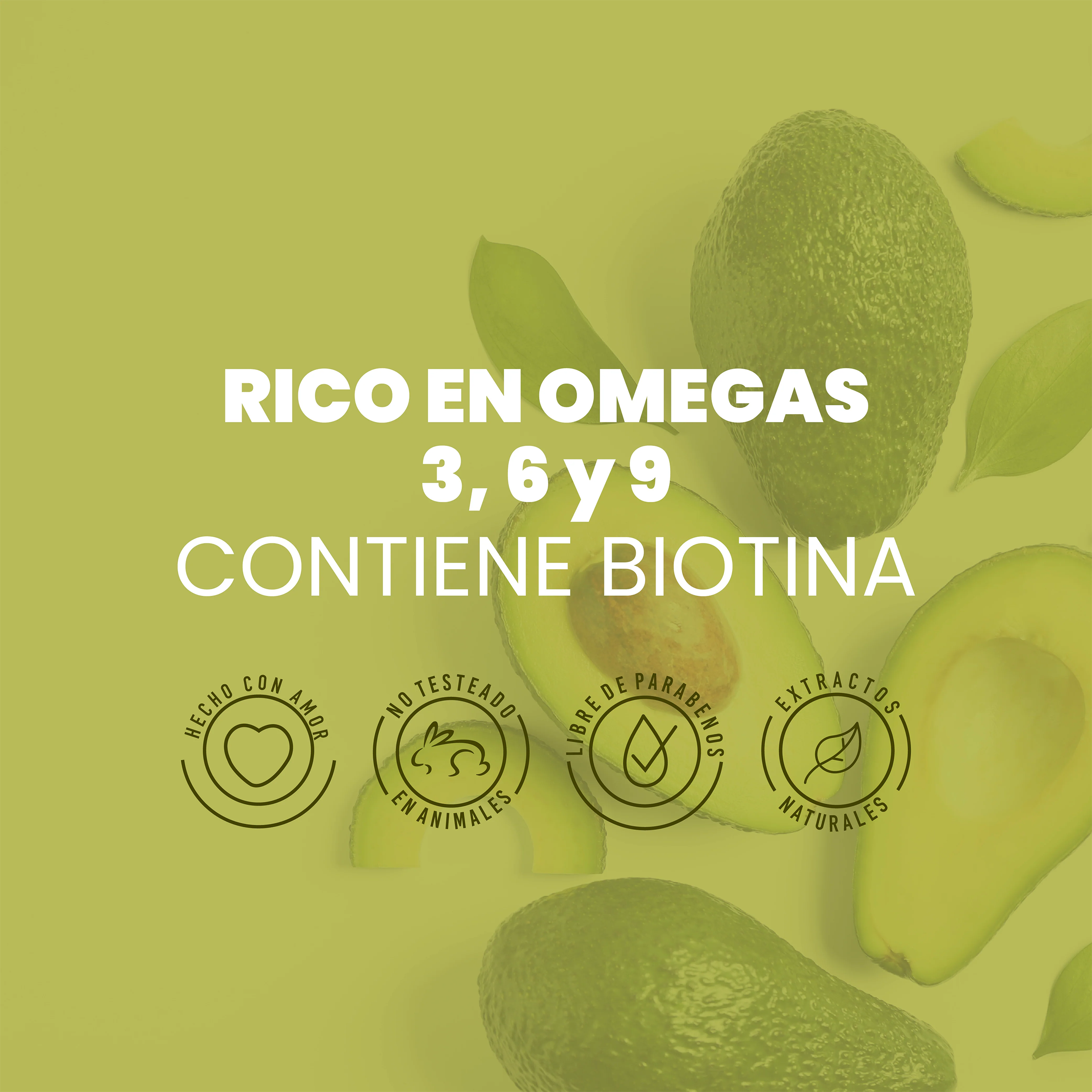 SHAMPOO CON AGUACATE 500ML ANYELUZ