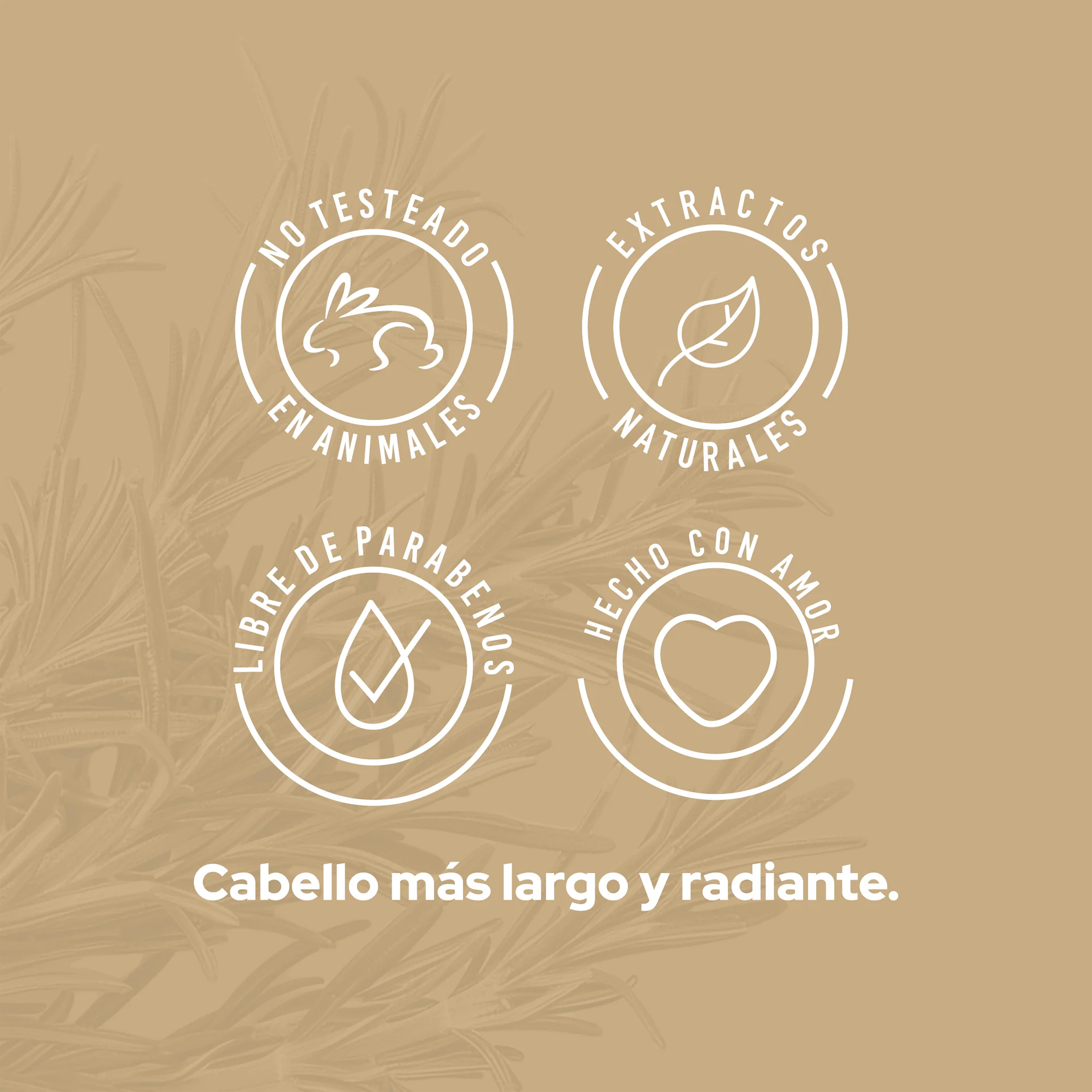 SHAMPOO CON ROMERO 500ML ANYELUZ