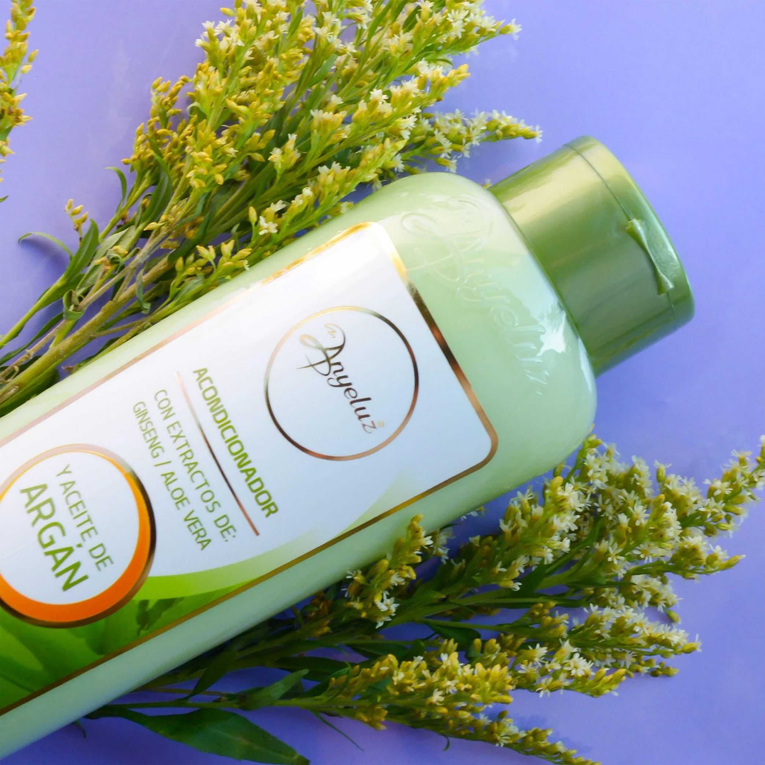 ACOND DE ARGAN Y ALOE VERA 500ML ANYELUZ
