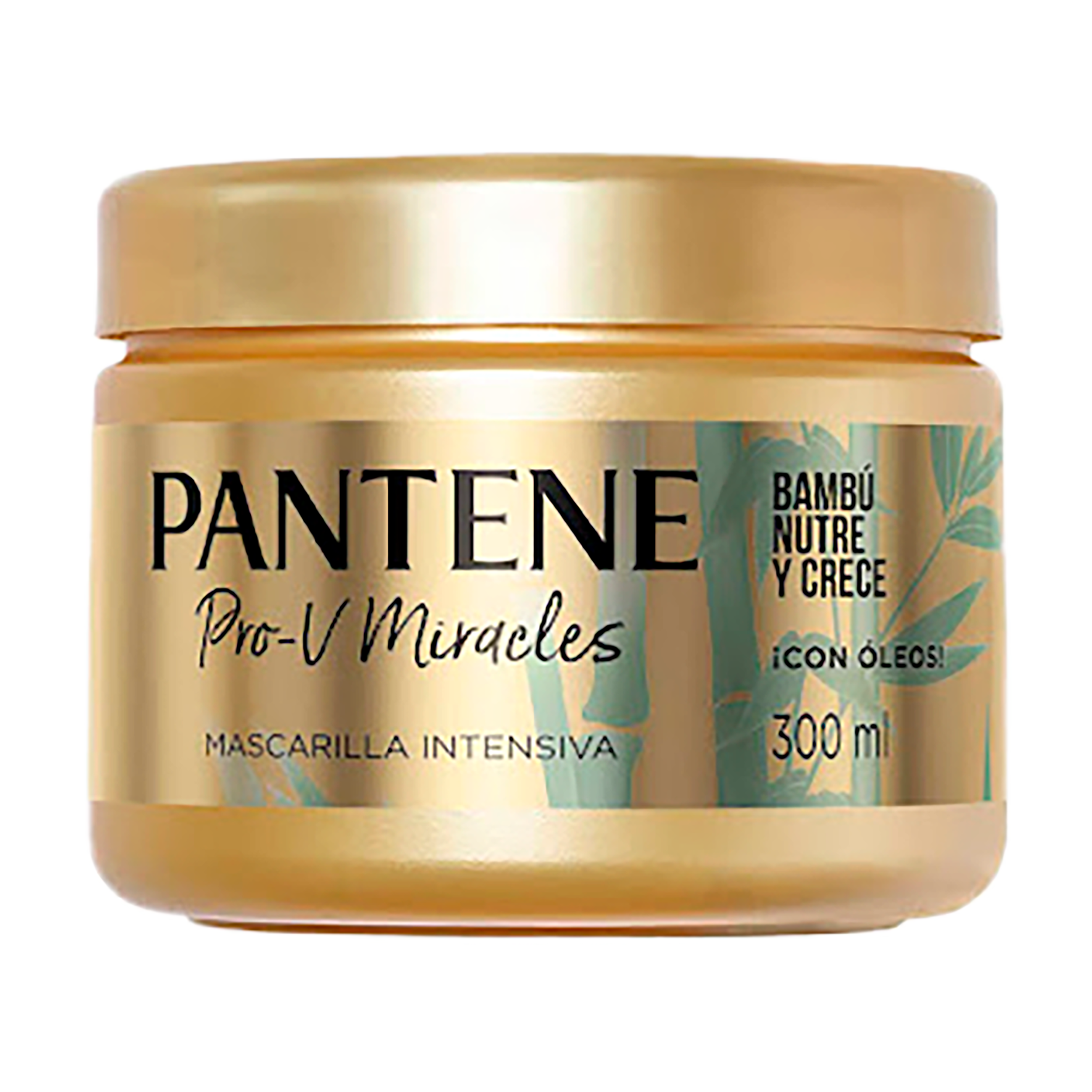 MASCARILLA INTENSIVA BAMBU NUTRE Y CRECE X300 PANTENE