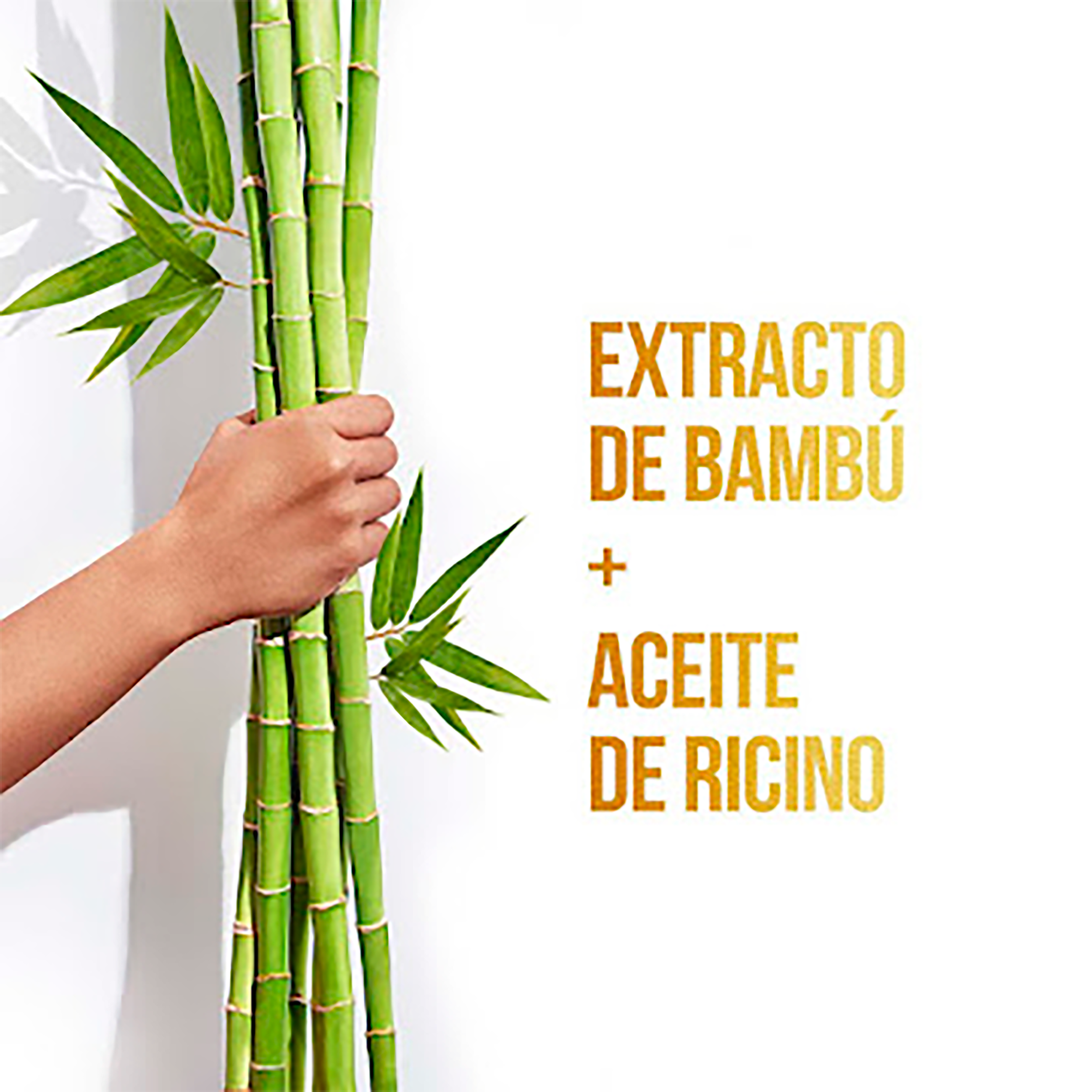SHAMPOO CONTROL CAIDA BAMBU NUTRE & CRECE  PANTENE 400ML